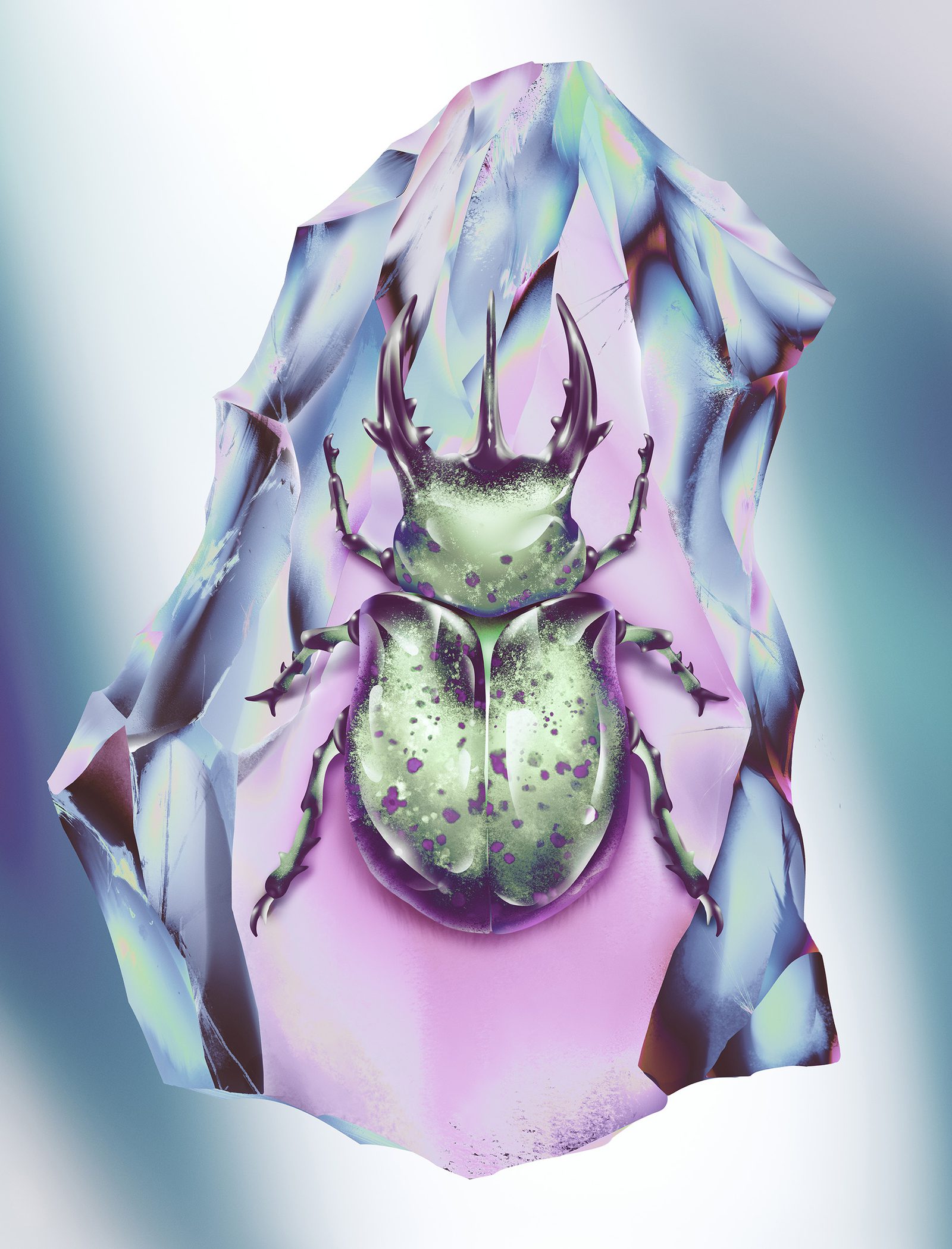 BEETLE FINAL web