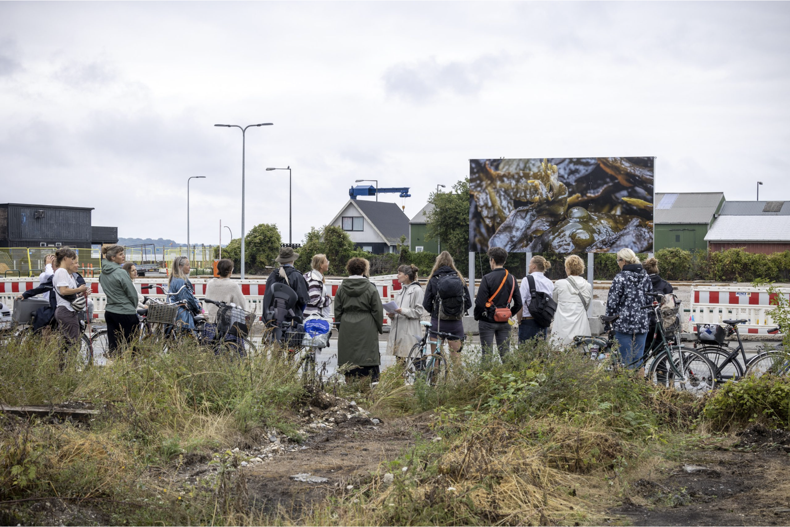 Kunsttur til værket ROUTE med Arendse Krabbe Foto Frida Gregersen