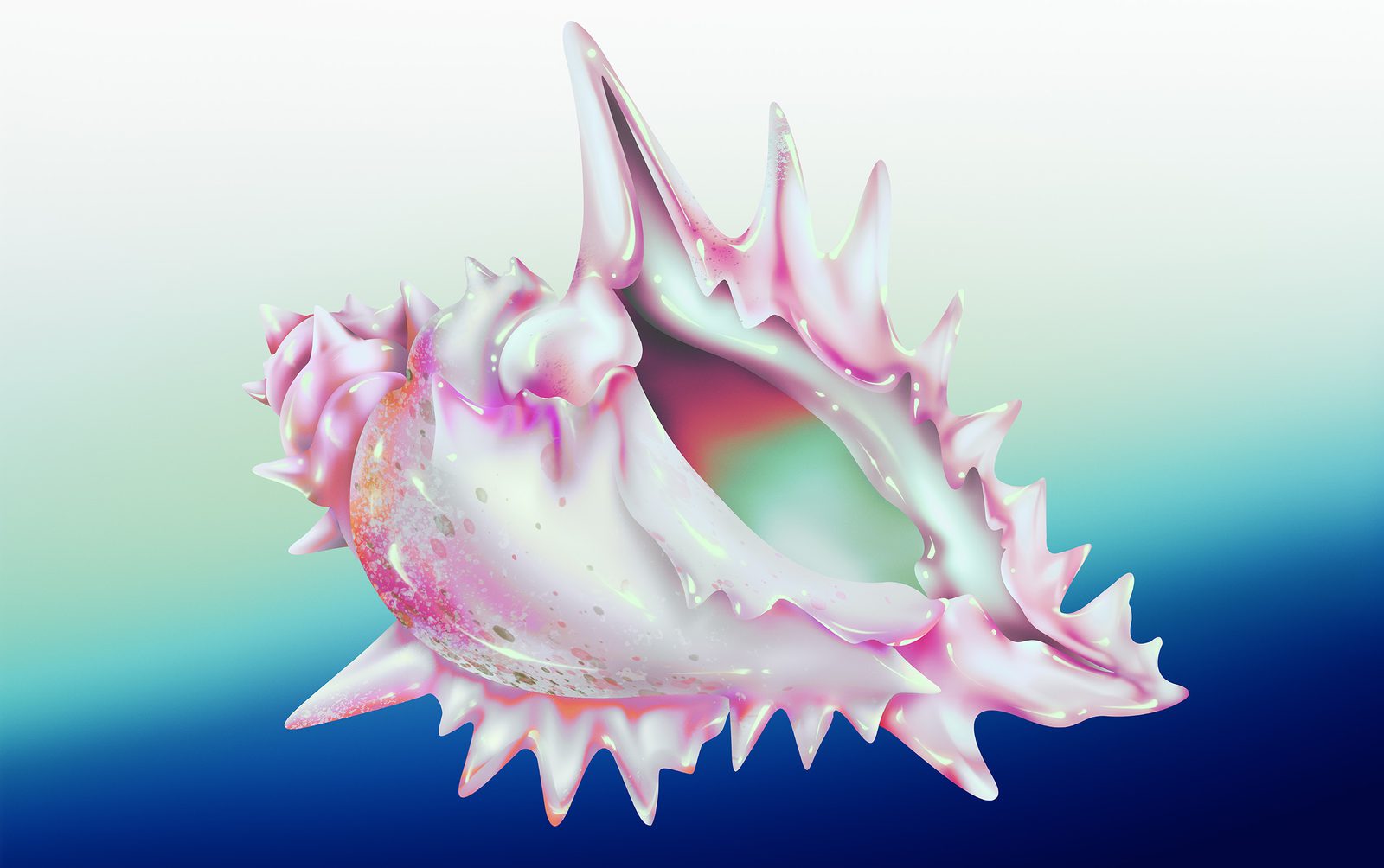 SHELL BACKGROUND bred web