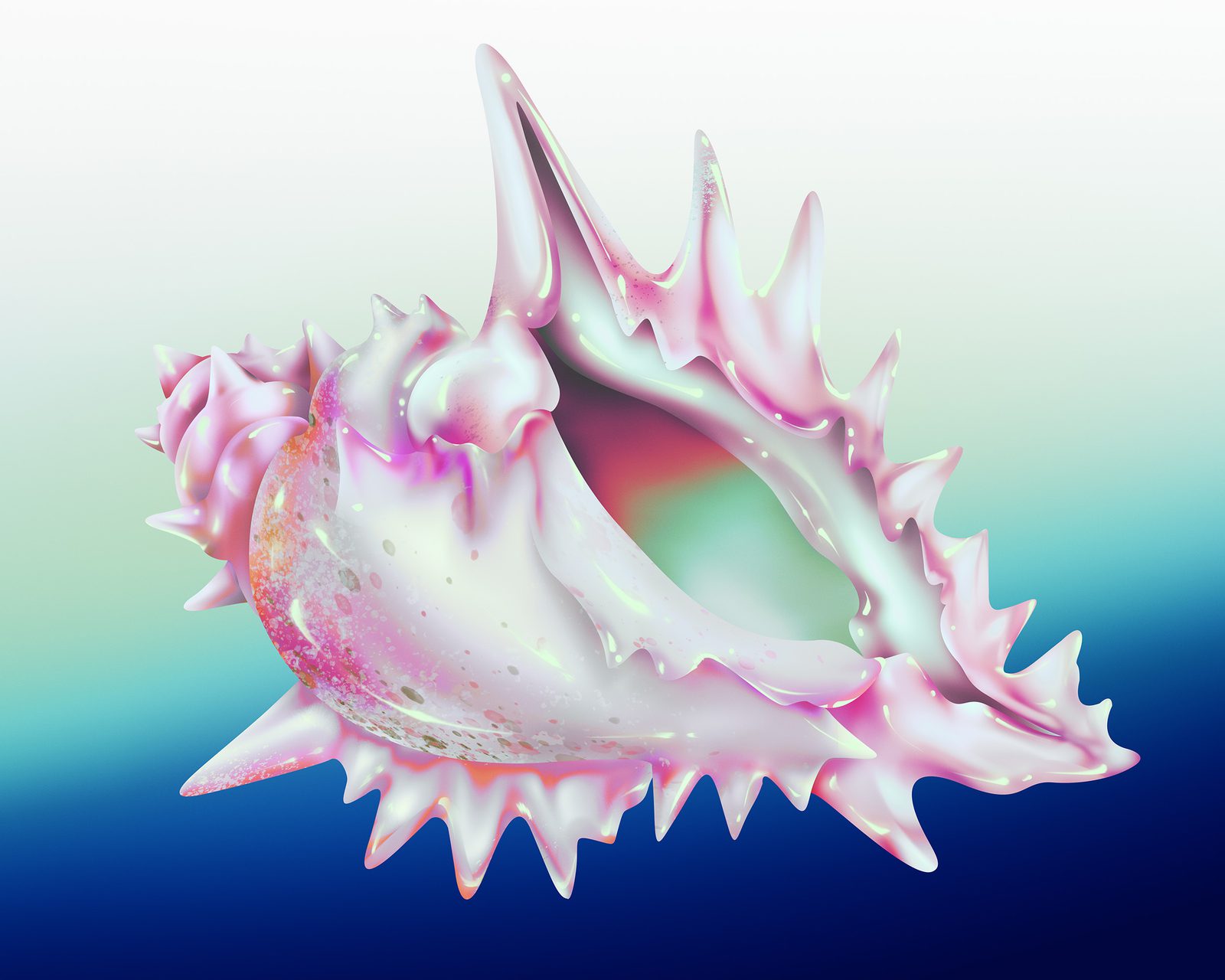 SHELL FINAL web