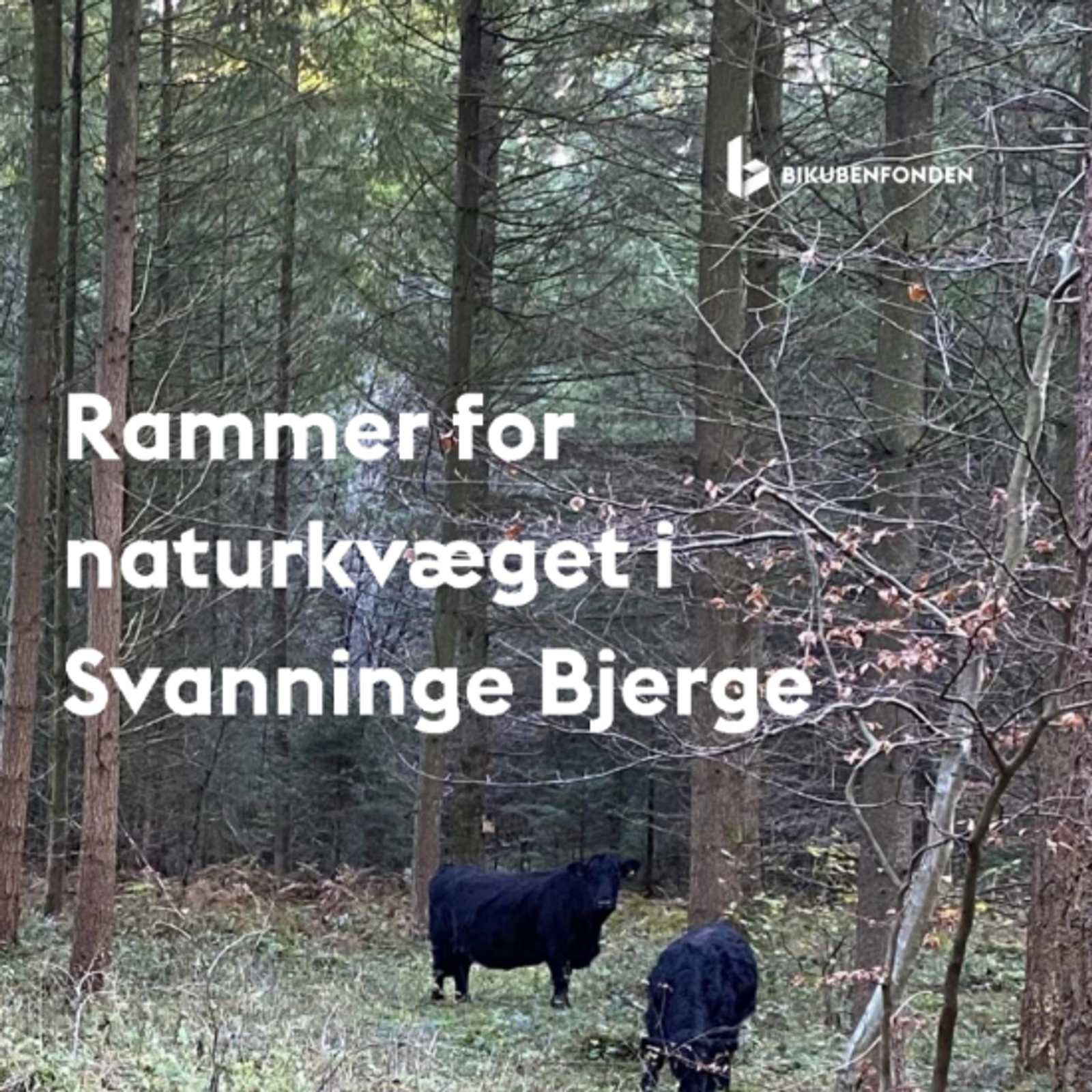Skærmbillede 2025 08 26 141830