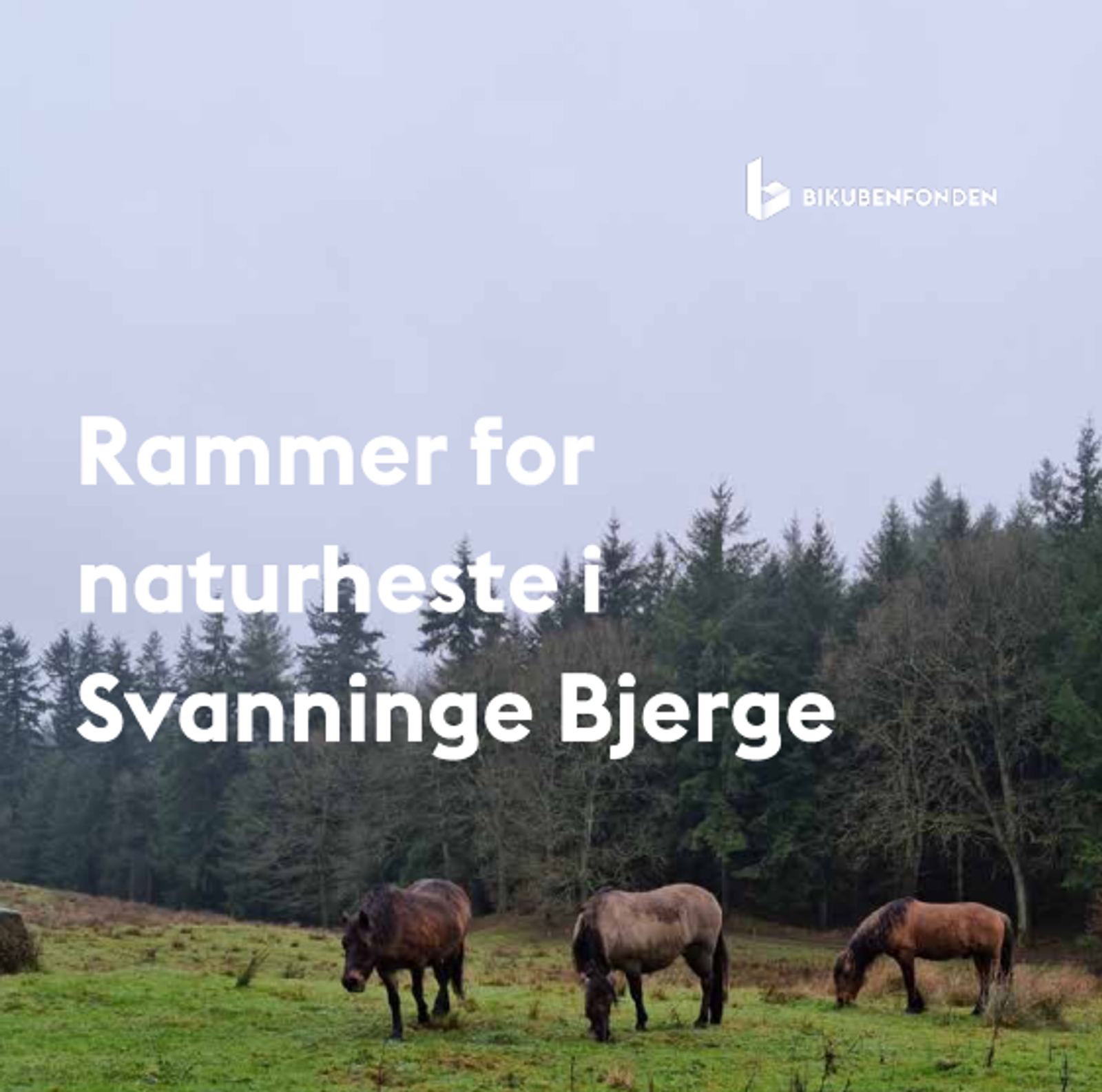 Skærmbillede 2025 08 26 143701