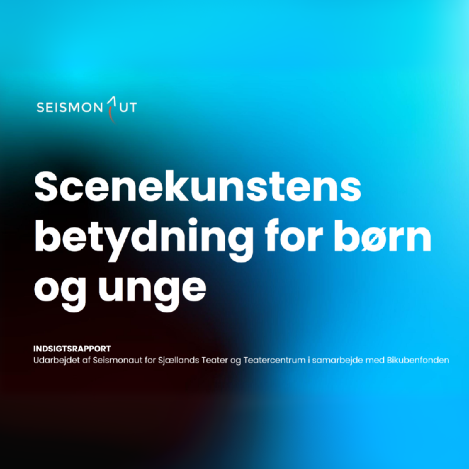 Skærmbillede 2025 09 01 133727