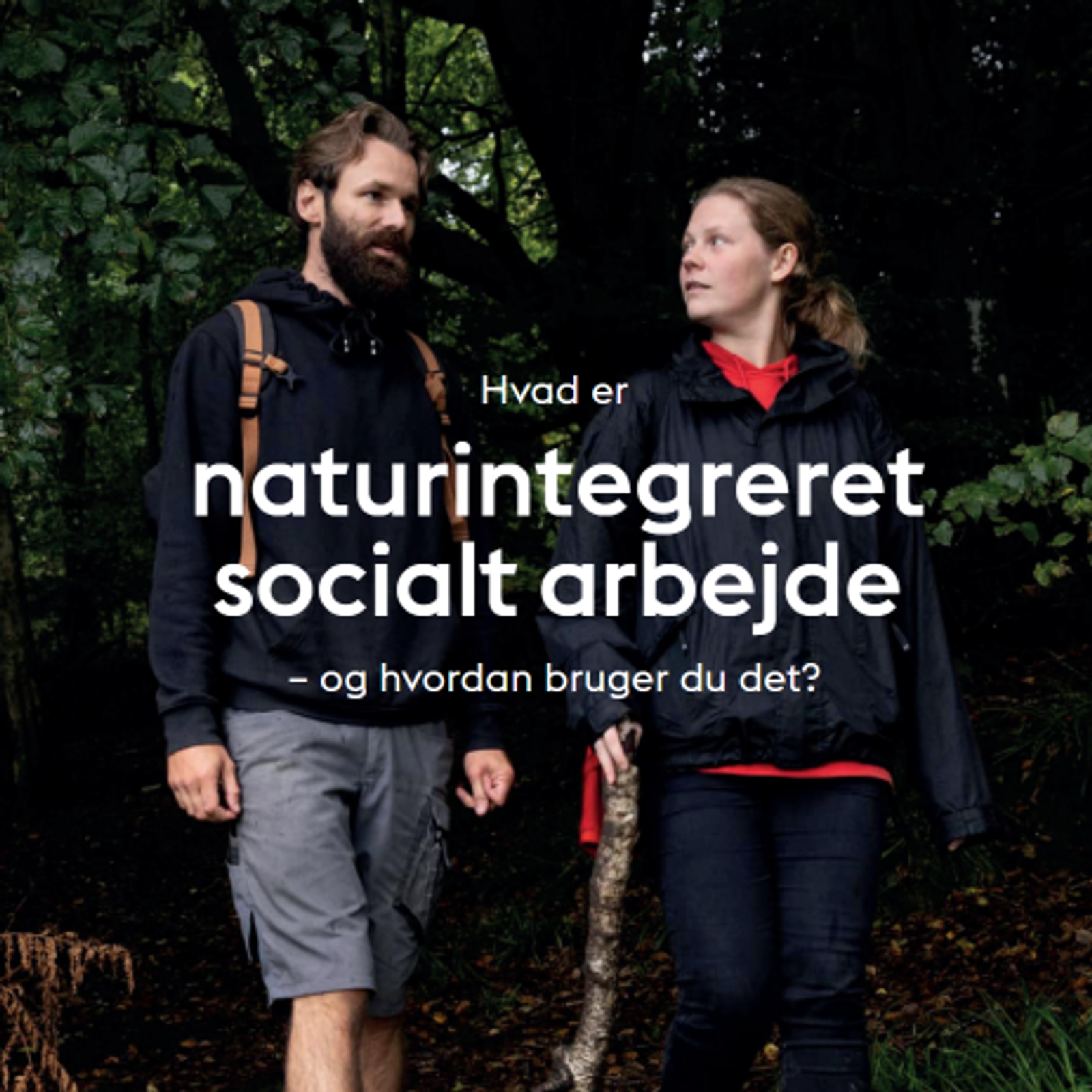 Skærmbillede 2025 09 01 141121