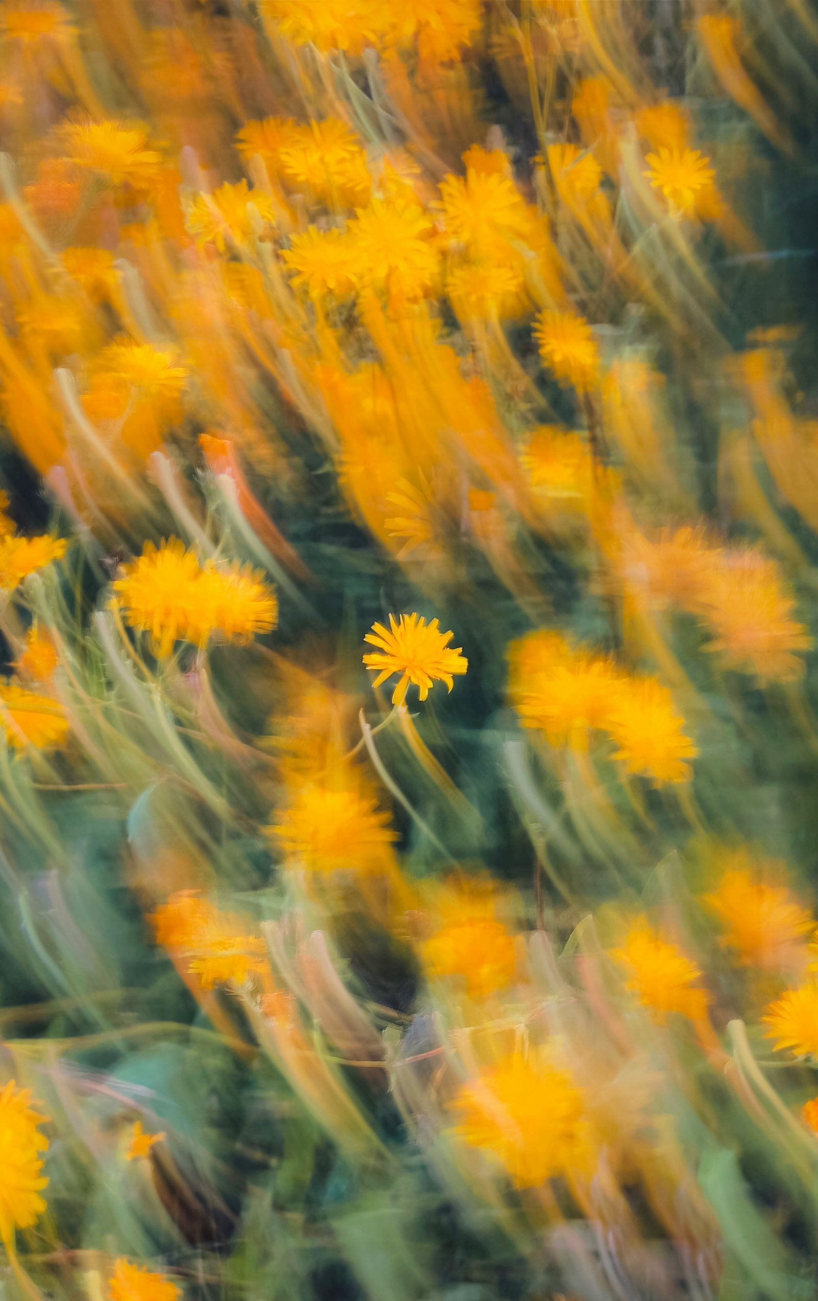 Eugene golovesov X02q8 Y Ddz AE unsplash
