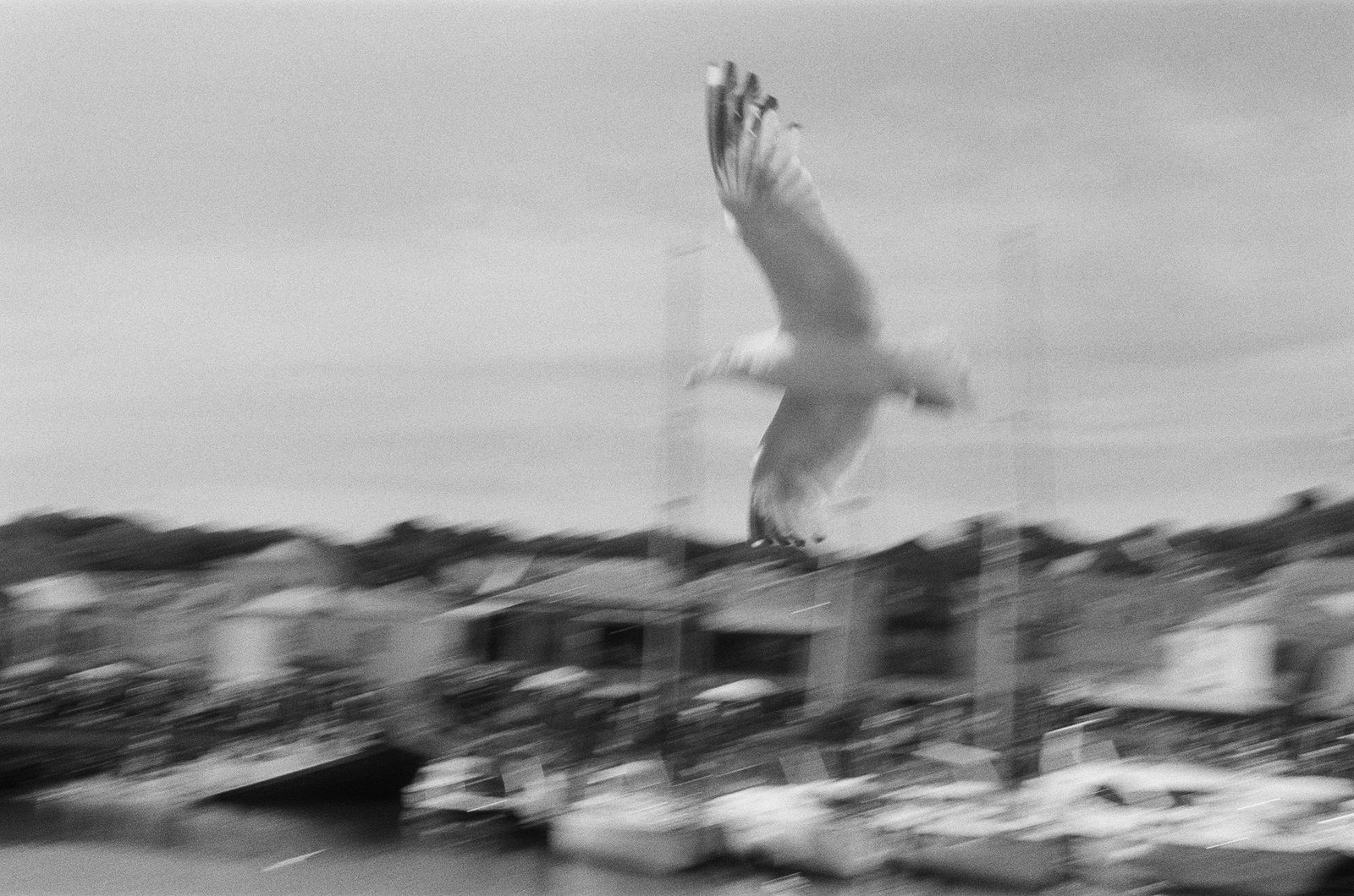 Michael richardson Bvs P7uts B Rw unsplash web