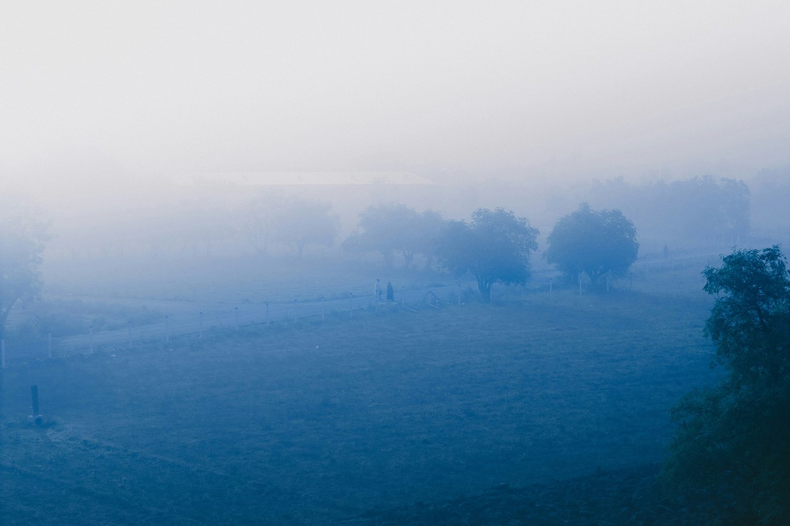 Milind bedwa Sm MC9zvt Z5 M unsplash web