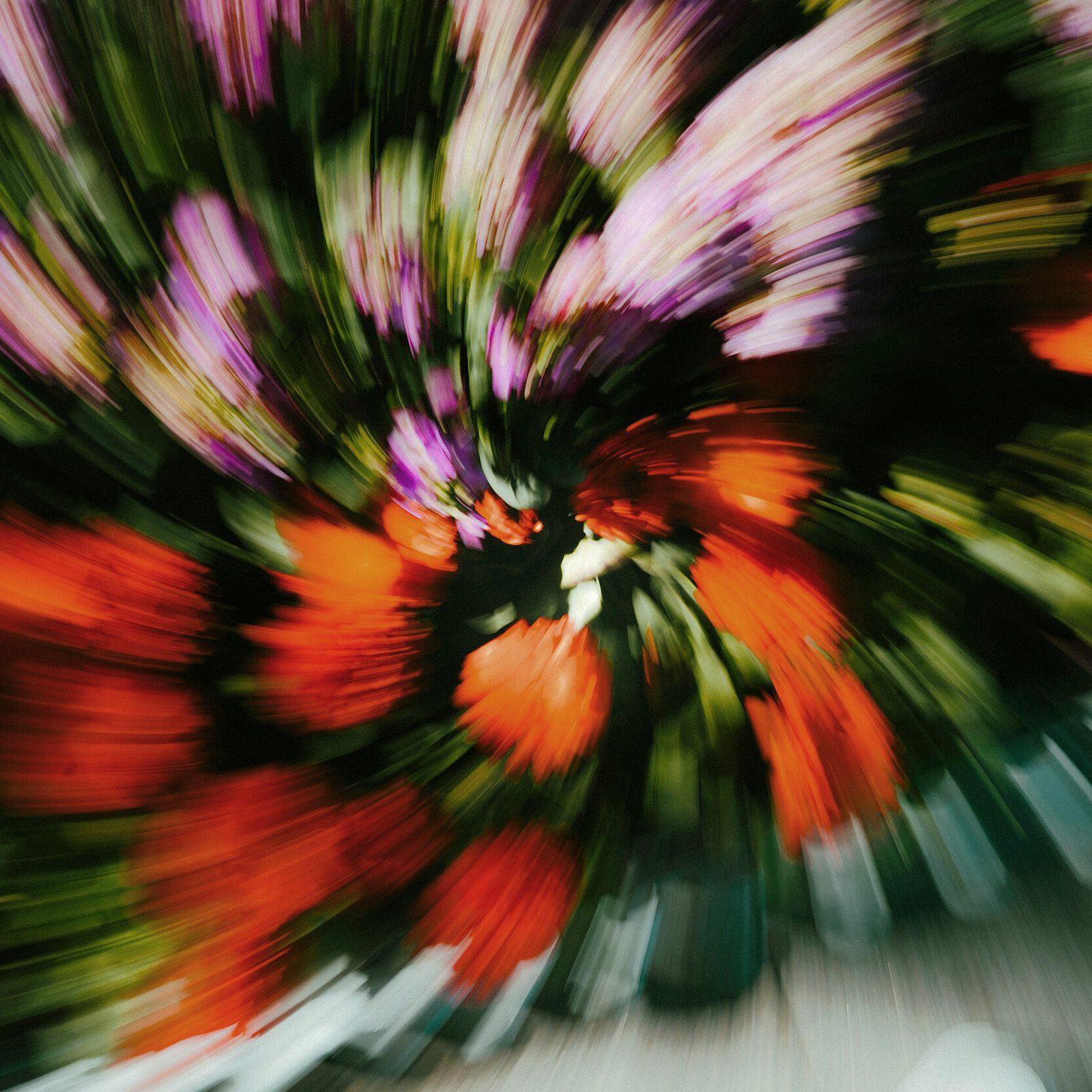 Patrick shaun Jt F Fv XVQQI unsplash web