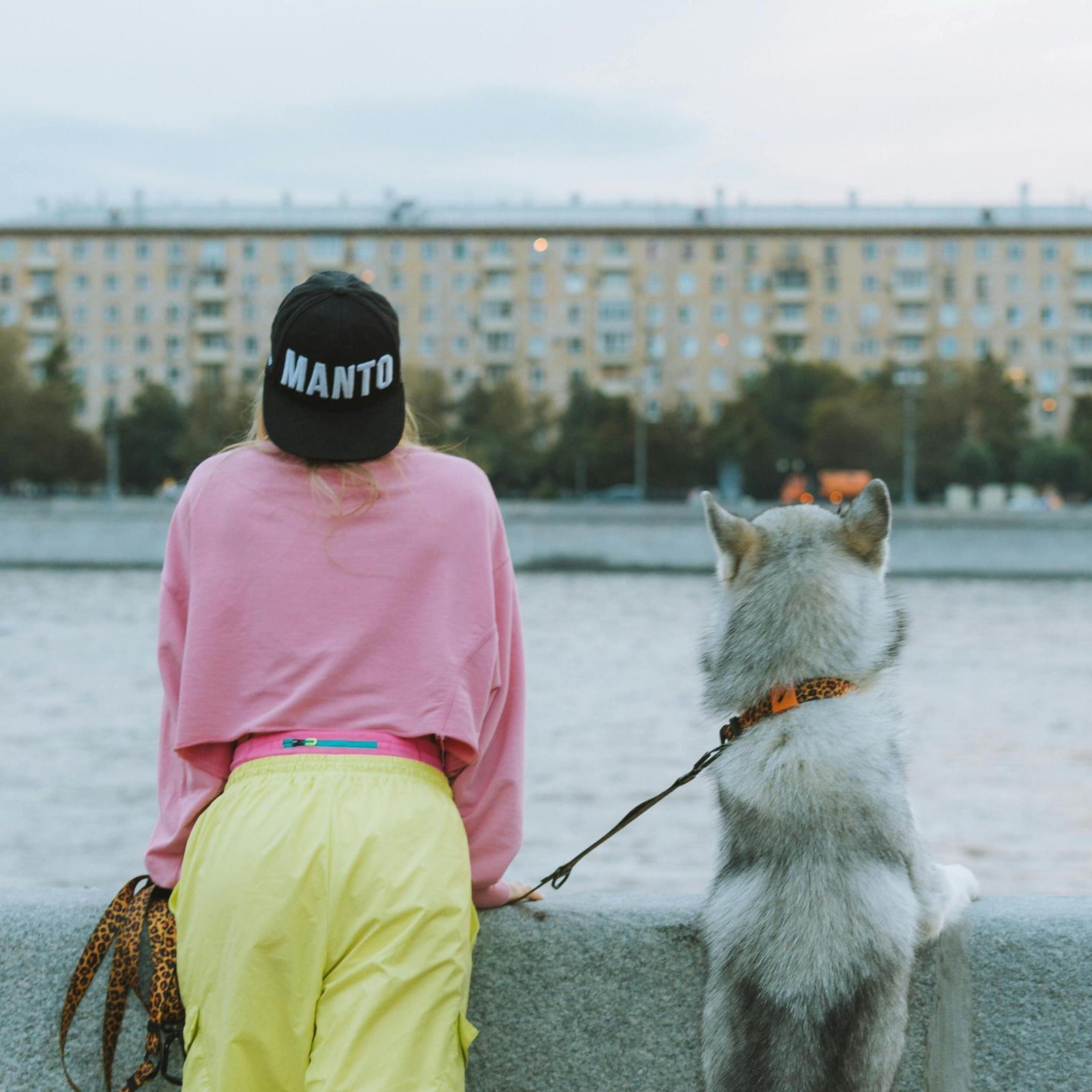 Pexels yaroslav shuraev 9632418