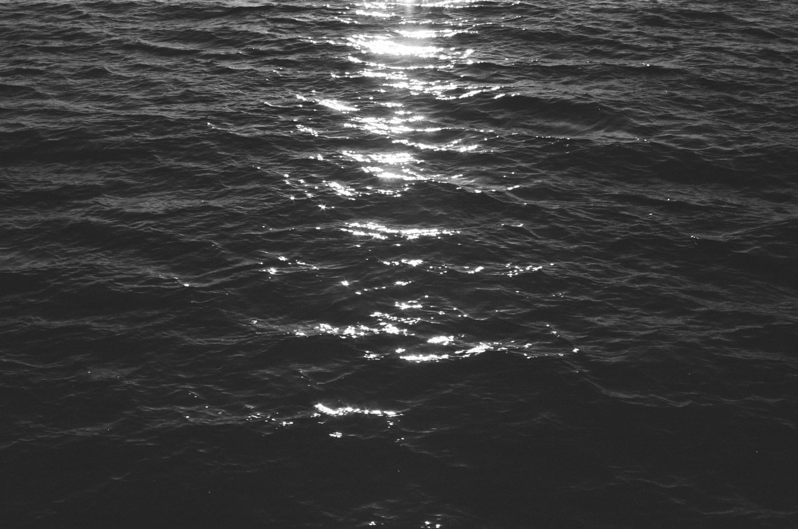 Wesley hilario f Cqnpbp A Wqk unsplash